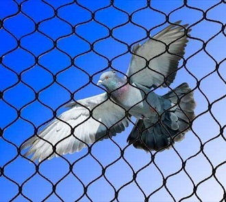 Pigeon Net Services